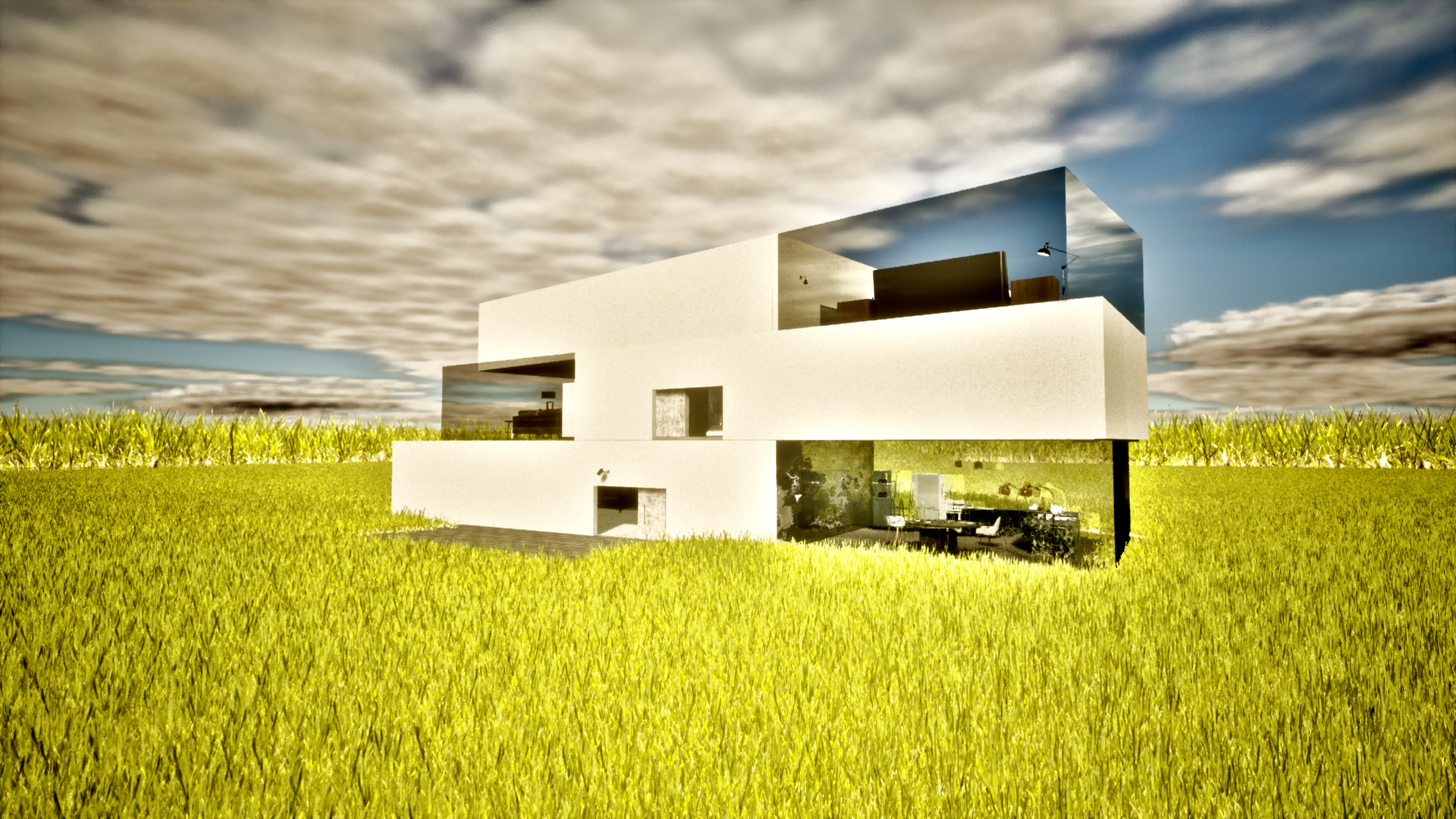 Modern House